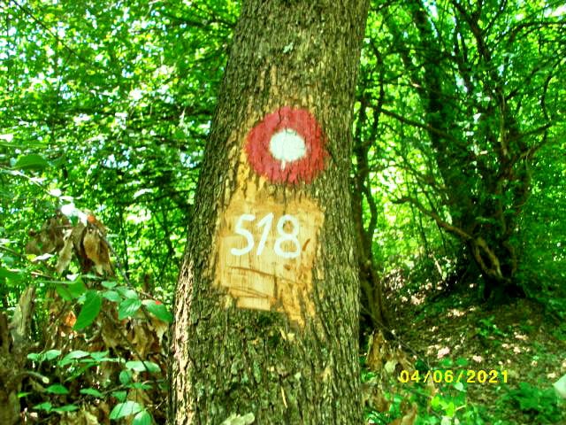 Markiranje planinarskog puta 518 - G. Vrhovci - C. Vrhovci