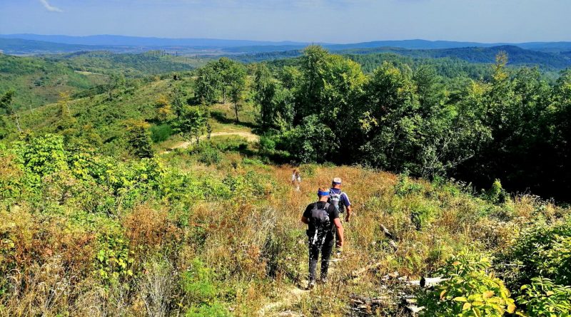 Obilazak staze Putevima Ante Premužića i Lovčići - 05.09.2021. g.
