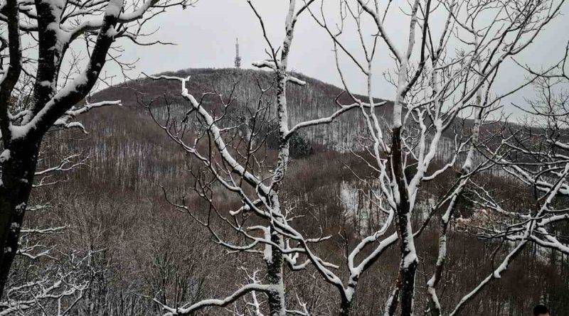 Krndija - 06.01.2022. godine