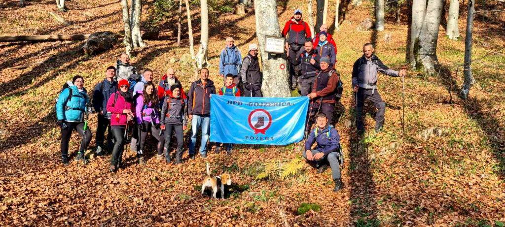 Javorovica 912 mnv (Psunj) – nedjelja 13.11.2022. godine.