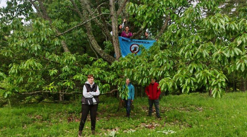 Arboretum Lisičine - 17.05.2026. g.